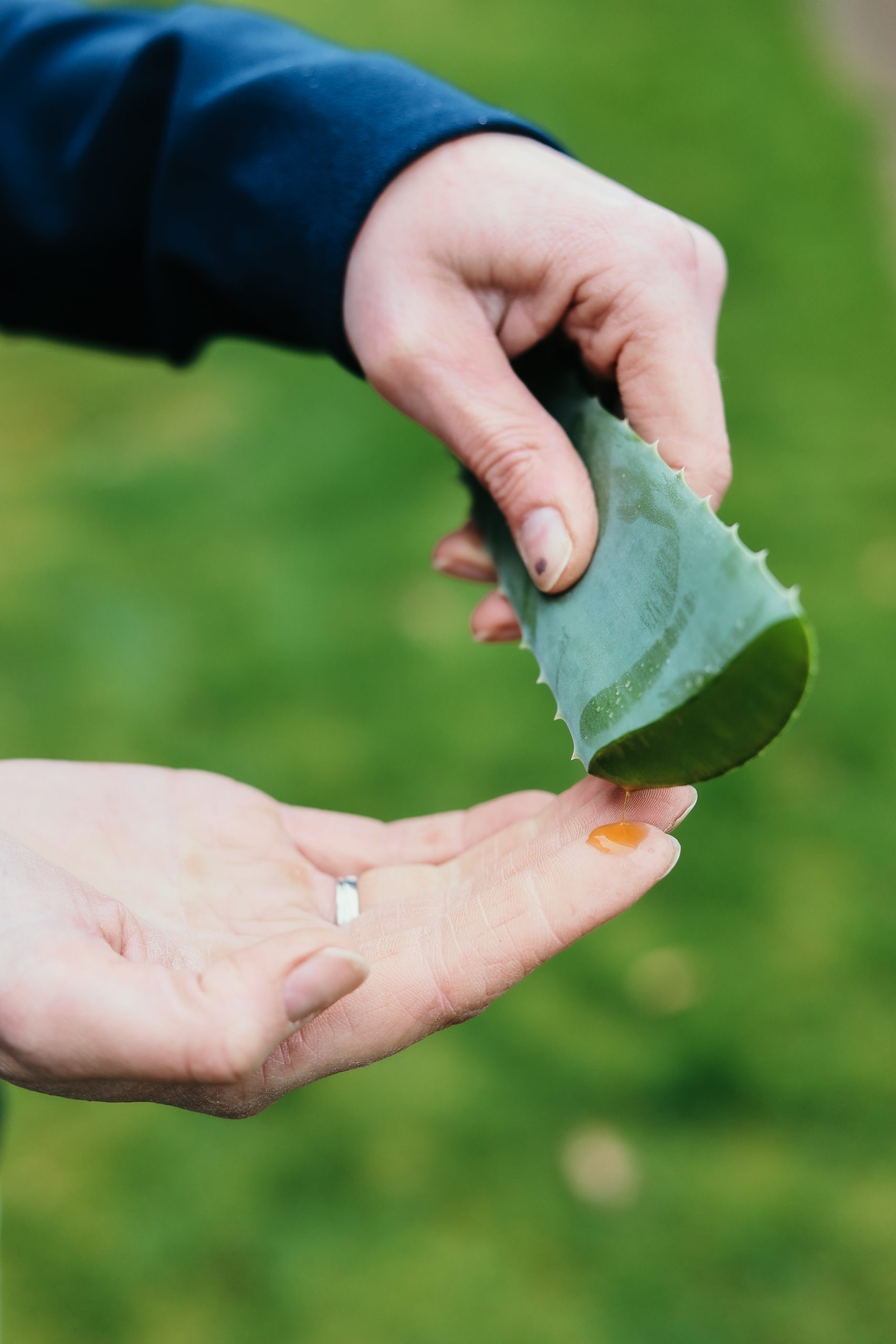Homeopathie voor mensen en dieren
