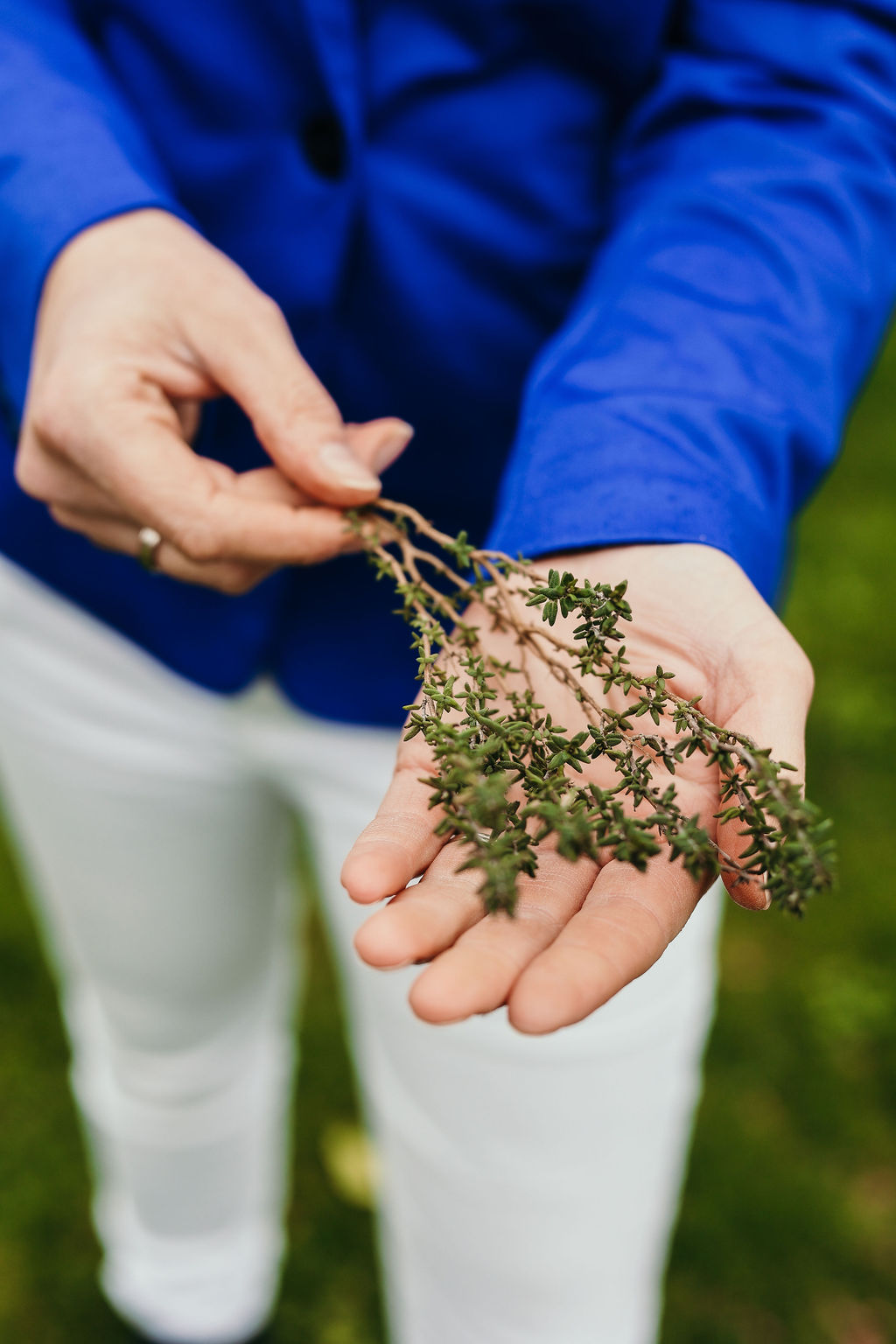 homeopathie bij menstruatieproblemen