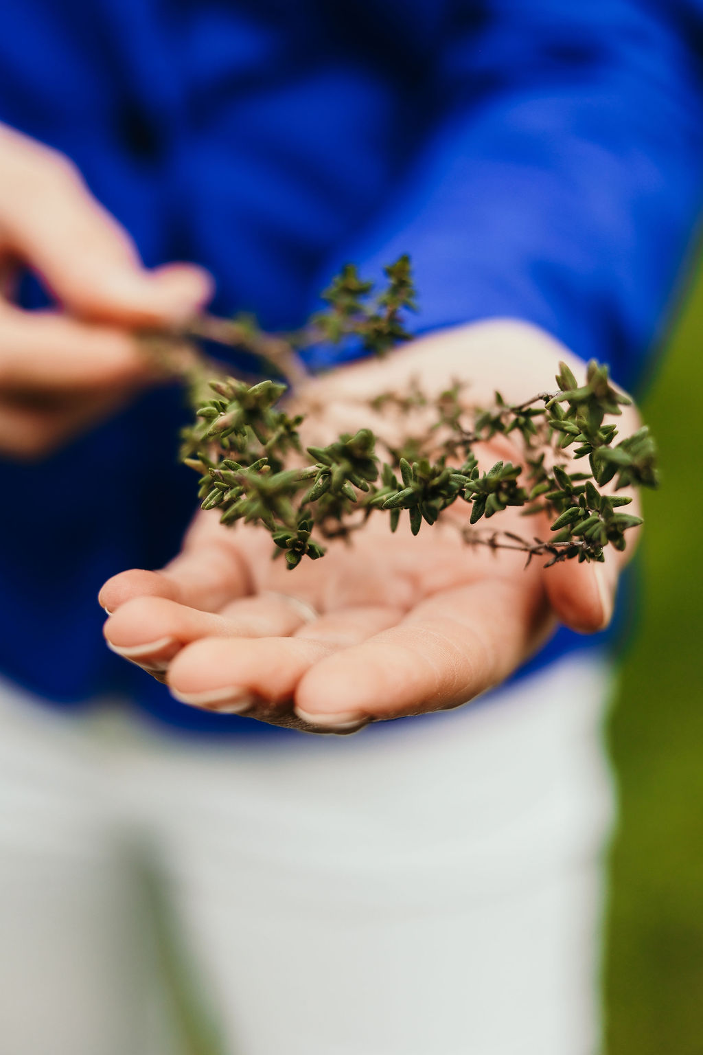Homeopathie bij long covid twee paarden